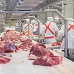 Работа на производственных линиях мясокомбината в Польше